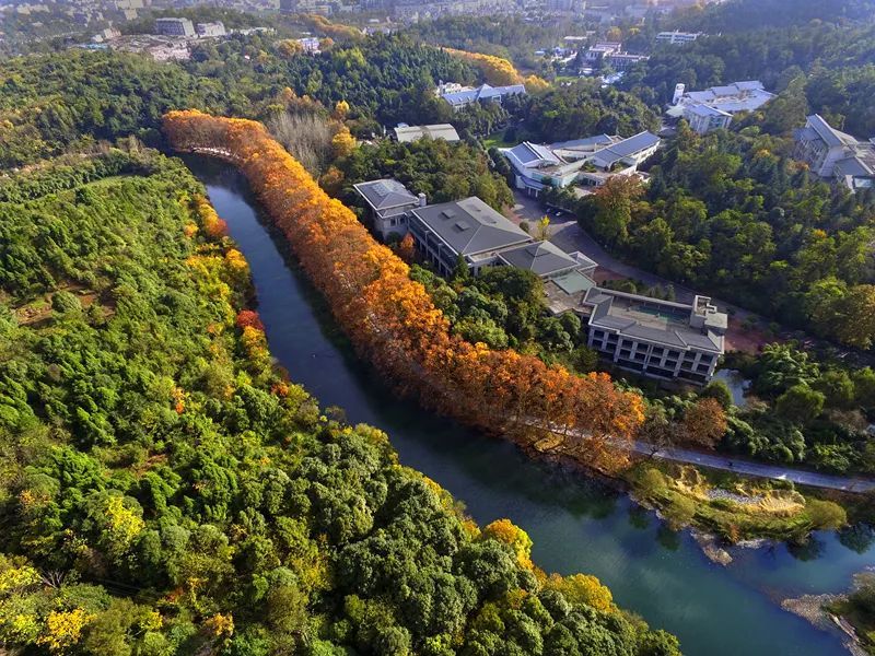 自動雷達水位雨量監測系統監測江河流量 自動雷達水位雨量監測系統監測江河流量