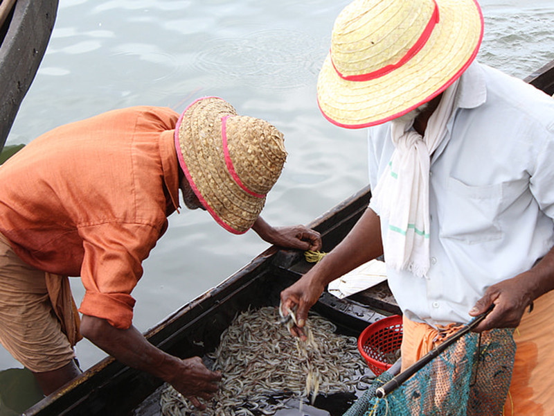 水產養殖檢測儀測定水質
