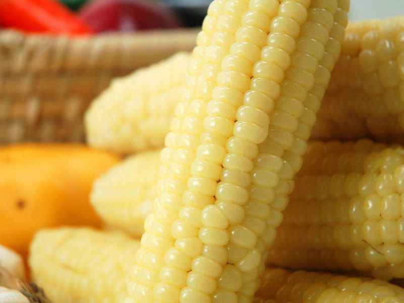 糧食重金屬超標的原因及檢測方法