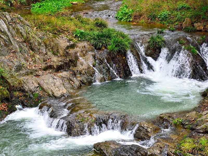 污水處理廠出水COD異常原因 污水處理廠出水COD異常原因