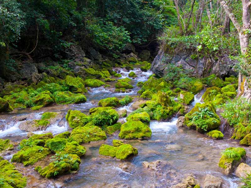 消毒劑的國家標準