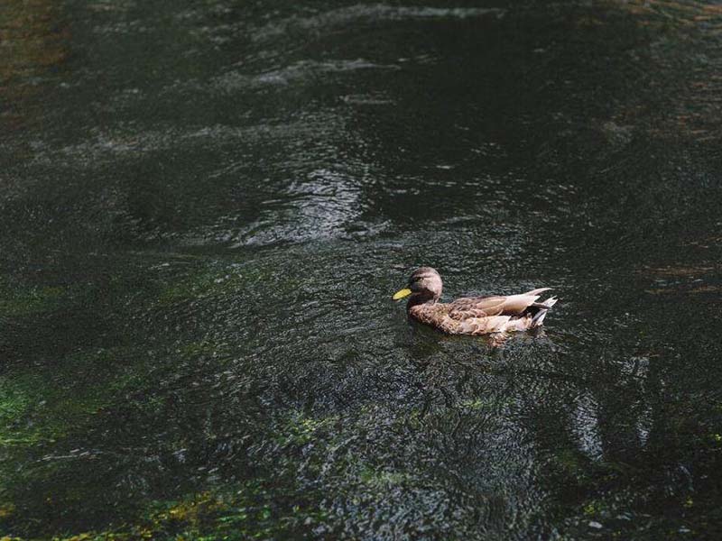 水質重金屬檢測設備哪種好 水質重金屬檢測設備哪種好