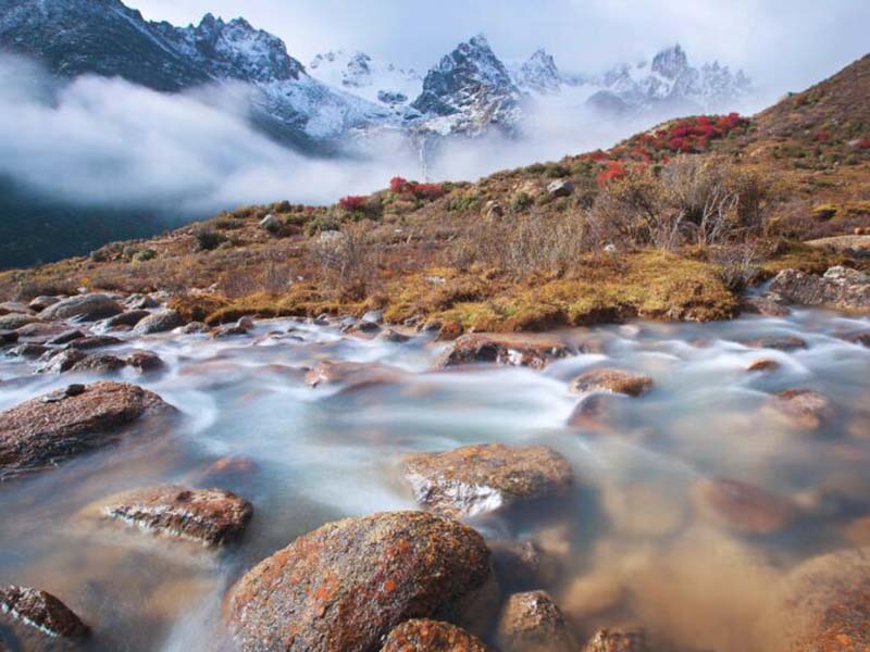 沒加消毒劑卻測到余氯有可能嗎