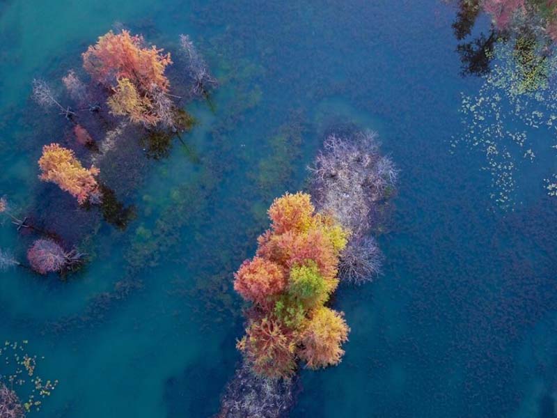 飲用水水質(zhì)監(jiān)測指標(biāo)有哪些