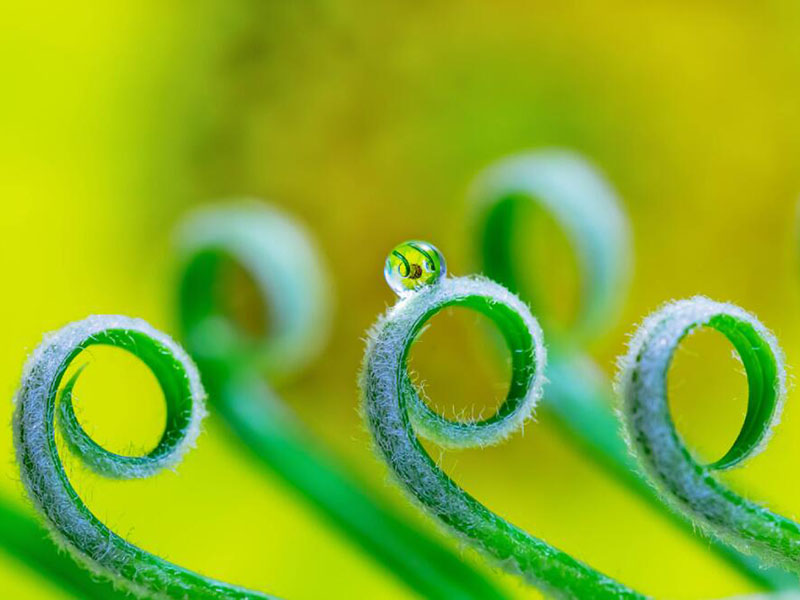 余氯、總氯、有效氯有什么區(qū)別 余氯、總氯、有效氯有什么區(qū)別