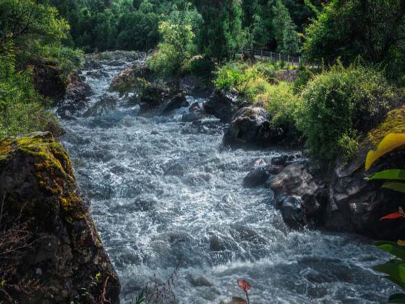【問答】酶底物法檢測水質總大腸菌群時測定結果如何計數