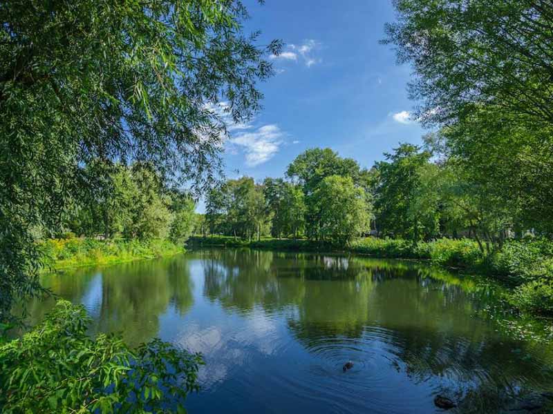 水體富營(yíng)養(yǎng)化有哪些危害(水體富營(yíng)養(yǎng)化治理措施)