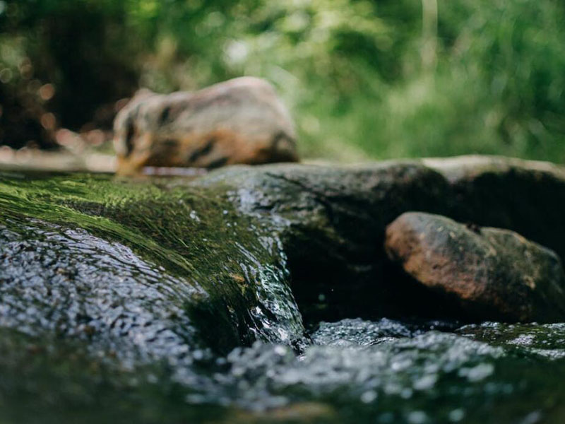 葉綠素對水質有什么影響（不同水質葉綠素a標準限值）
