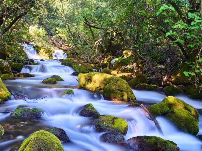 水中藍綠藻分析儀原理(水中藍綠藻分析儀使用注意事項)