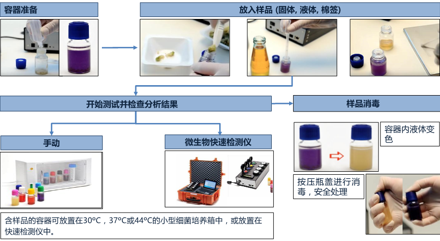 大腸桿菌檢測系統檢測流程