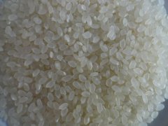 大米重金屬鎘檢測儀，可對樣品進行快速檢測