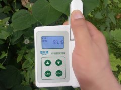 怎樣檢測活體植物的葉綠素含量？