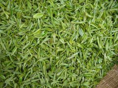 怎樣檢測茶葉中的茶多酚含量？