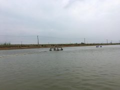 霍爾德便攜式余氯檢測儀,可提前預防養殖風險