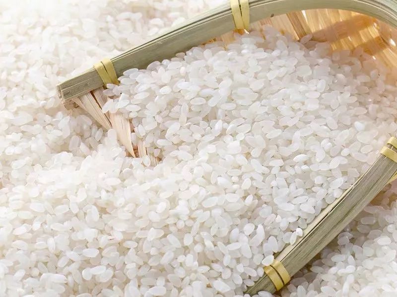 大米重金屬鎘檢測儀,可實現重金屬的快速定量檢測分析 大米重金屬鎘檢測儀,可實現重金屬的快速定量檢測分析